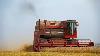 Massey Ferguson 760 Prairie Queen In The Polder Classic Wheat Harvest Stichting Polderpioniers