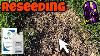 Spot Seeding Soil Testing U0026 Troubleshooting