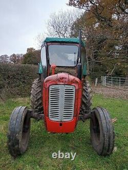 1961 Massey Ferguson 35 Tracteur Vintage. Agriculture. L'agriculture. Equestre